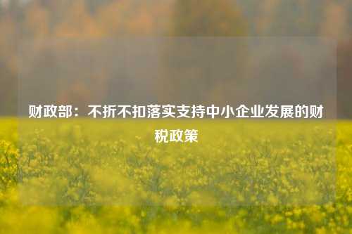 财政部：不折不扣落实支持中小企业发展的财税政策