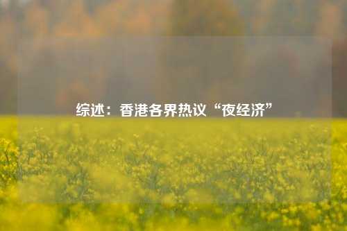 综述：香港各界热议“夜经济”