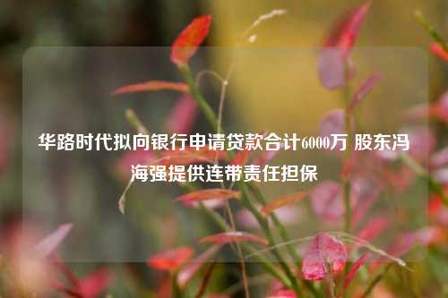 华路时代拟向银行申请贷款合计6000万 股东冯海强提供连带责任担保