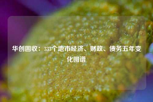 华创固收：333个地市经济、财政、债务五年变化图谱