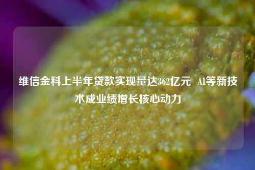 维信金科上半年贷款实现量达362亿元 AI等新技术成业绩增长核心动力