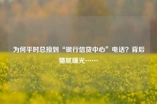 为何平时总接到“银行信贷中心”电话？背后猫腻曝光……