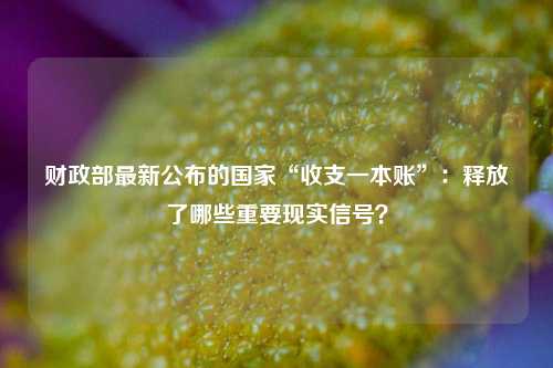 财政部最新公布的国家“收支一本账”：释放了哪些重要现实信号？