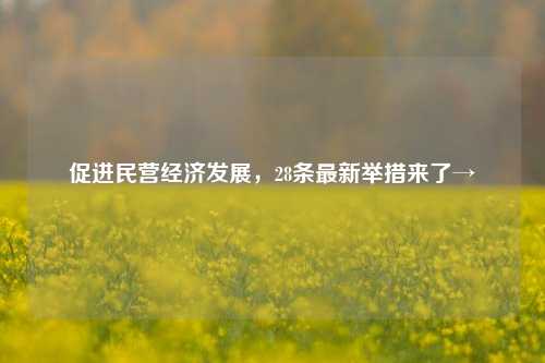 促进民营经济发展，28条最新举措来了→