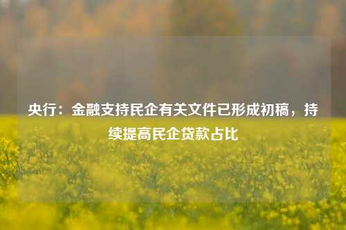 央行：金融支持民企有关文件已形成初稿，持续提高民企贷款占比