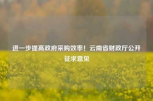 进一步提高政府采购效率！云南省财政厅公开征求意见