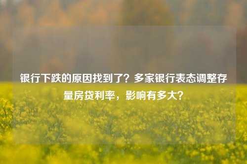 银行下跌的原因找到了？多家银行表态调整存量房贷利率，影响有多大？