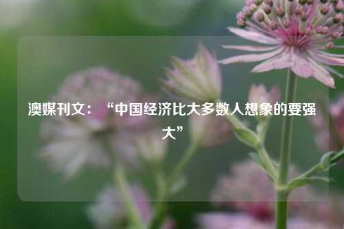 澳媒刊文：“中国经济比大多数人想象的要强大”