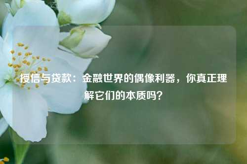 授信与贷款：金融世界的偶像利器，你真正理解它们的本质吗？