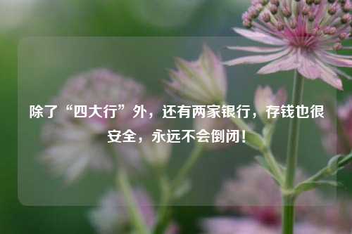 除了“四大行”外，还有两家银行，存钱也很安全，永远不会倒闭！