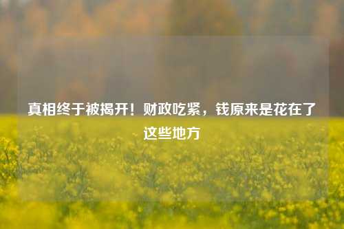 真相终于被揭开！财政吃紧，钱原来是花在了这些地方