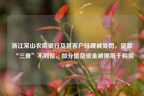 浙江常山农商银行及其客户经理被处罚，贷款“三查”不到位，部分信贷资金被挪用于购房