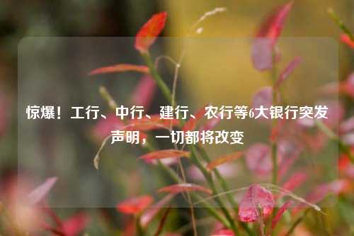惊爆！工行、中行、建行、农行等6大银行突发声明，一切都将改变