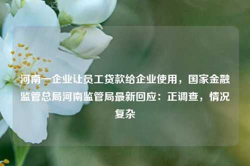 河南一企业让员工贷款给企业使用，国家金融监管总局河南监管局最新回应：正调查，情况复杂