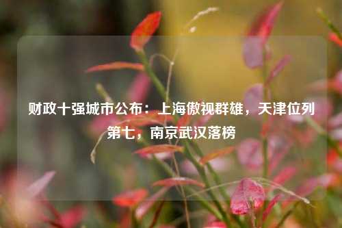 财政十强城市公布：上海傲视群雄，天津位列第七，南京武汉落榜