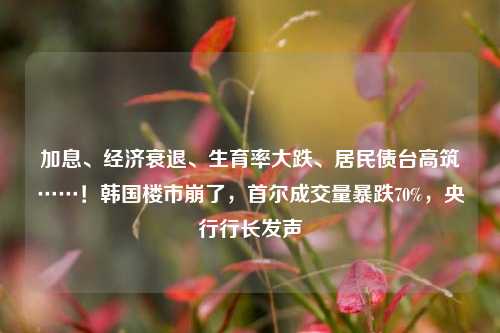 加息、经济衰退、生育率大跌、居民债台高筑……！韩国楼市崩了，首尔成交量暴跌70%，央行行长发声