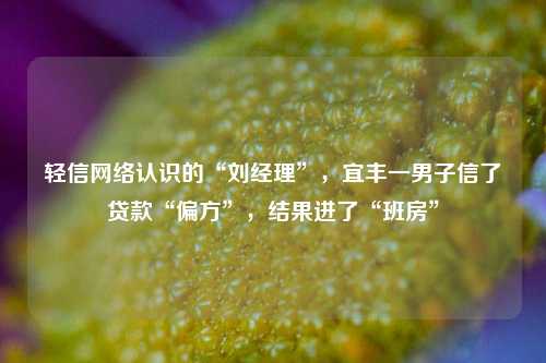 轻信网络认识的“刘经理”，宜丰一男子信了贷款“偏方”，结果进了“班房”