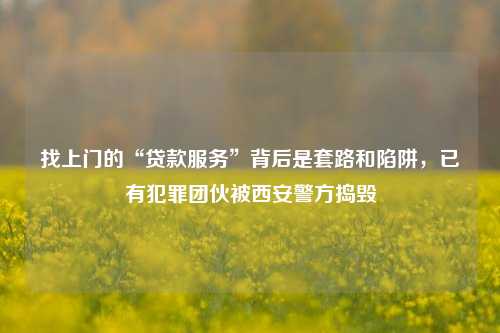 找上门的“贷款服务”背后是套路和陷阱，已有犯罪团伙被西安警方捣毁