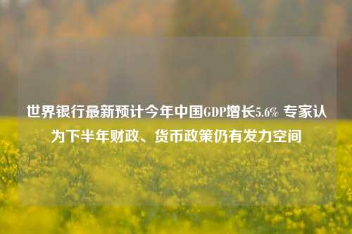 世界银行最新预计今年中国GDP增长5.6% 专家认为下半年财政、货币政策仍有发力空间