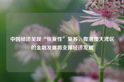 中国经济呈现“恢复性”复苏，粤港澳大湾区的金融发展将支撑经济发展