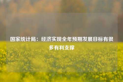 国家统计局：经济实现全年预期发展目标有很多有利支撑