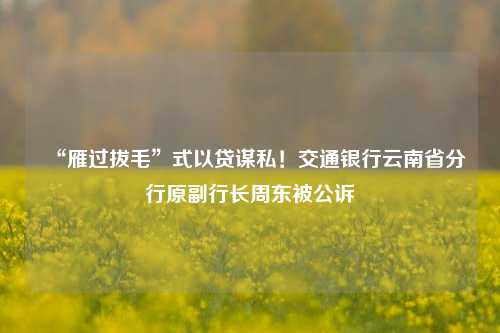 “雁过拔毛”式以贷谋私！交通银行云南省分行原副行长周东被公诉