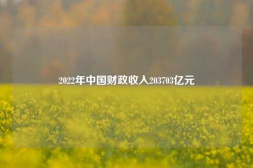 2022年中国财政收入203703亿元