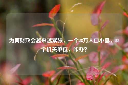 为何财政会越来越紧张，一个28万人口小县，58个机关单位，咋办？