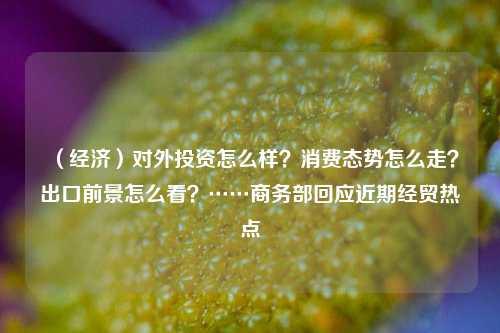 （经济）对外投资怎么样？消费态势怎么走？出口前景怎么看？……商务部回应近期经贸热点