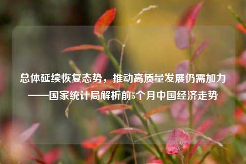 总体延续恢复态势，推动高质量发展仍需加力——国家统计局解析前5个月中国经济走势