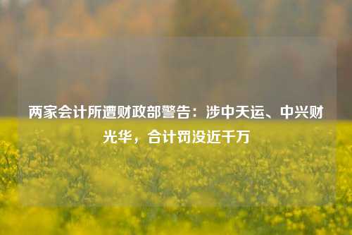 两家会计所遭财政部警告：涉中天运、中兴财光华，合计罚没近千万