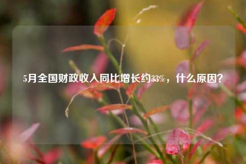 5月全国财政收入同比增长约33%，什么原因？