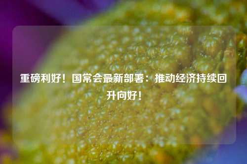重磅利好！国常会最新部署：推动经济持续回升向好！