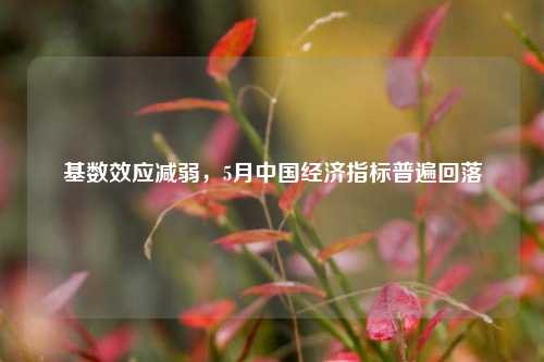 基数效应减弱，5月中国经济指标普遍回落