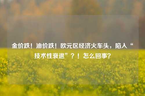 金价跌！油价跌！欧元区经济火车头，陷入“技术性衰退”？！怎么回事？