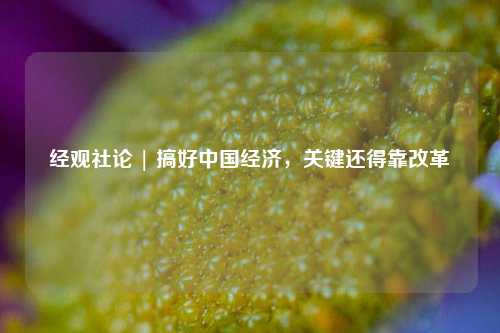 经观社论 | 搞好中国经济，关键还得靠改革