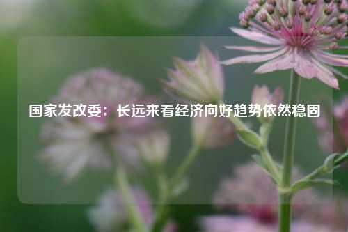 国家发改委：长远来看经济向好趋势依然稳固