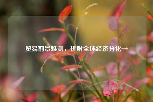 贸易前景难测，折射全球经济分化→
