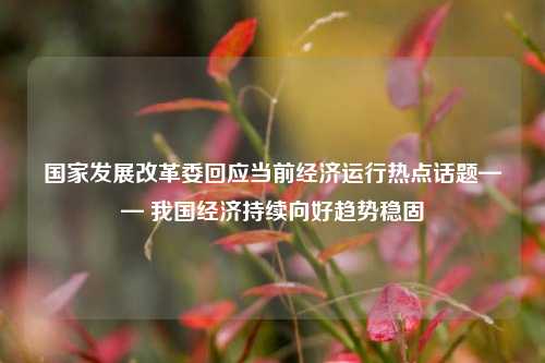 国家发展改革委回应当前经济运行热点话题—— 我国经济持续向好趋势稳固