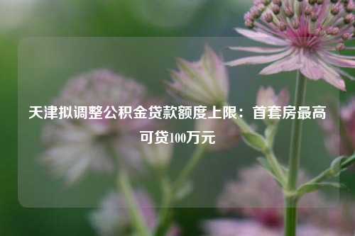 天津拟调整公积金贷款额度上限：首套房最高可贷100万元