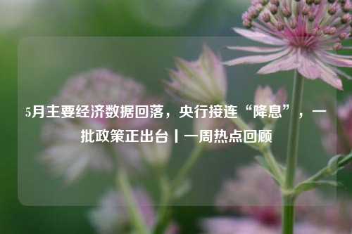 5月主要经济数据回落，央行接连“降息”，一批政策正出台丨一周热点回顾