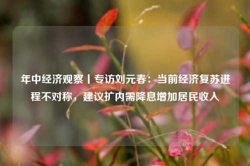 年中经济观察丨专访刘元春：当前经济复苏进程不对称，建议扩内需降息增加居民收入