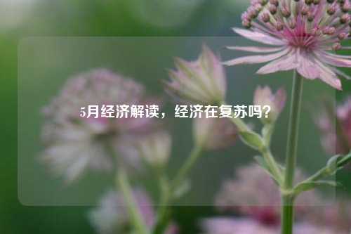 5月经济解读，经济在复苏吗？