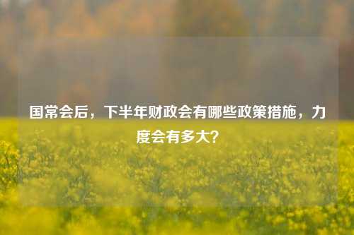 国常会后，下半年财政会有哪些政策措施，力度会有多大？