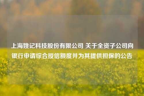 上海姚记科技股份有限公司 关于全资子公司向银行申请综合授信额度并为其提供担保的公告