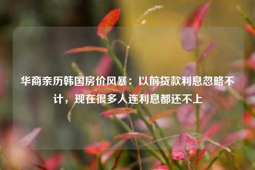 华商亲历韩国房价风暴：以前贷款利息忽略不计，现在很多人连利息都还不上