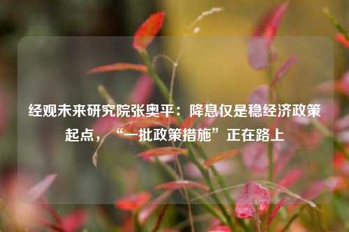 经观未来研究院张奥平：降息仅是稳经济政策起点，“一批政策措施”正在路上