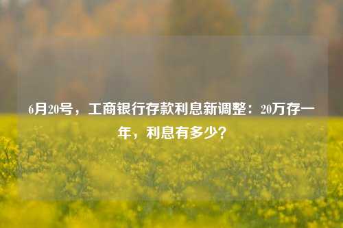 6月20号，工商银行存款利息新调整：20万存一年，利息有多少？