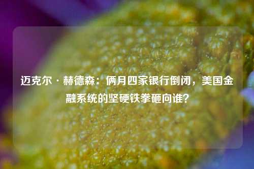 迈克尔·赫德森：俩月四家银行倒闭，美国金融系统的坚硬铁拳砸向谁？