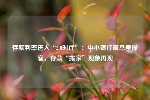 存款利率进入“2.0时代”：中小银行高息差揽客，存款“搬家”现象再现